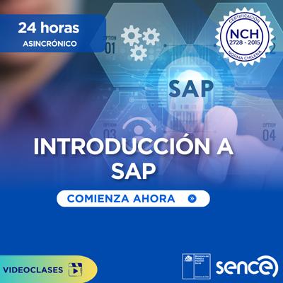 Curso Introducción a SAP