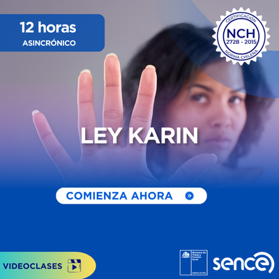 Curso Ley Karin