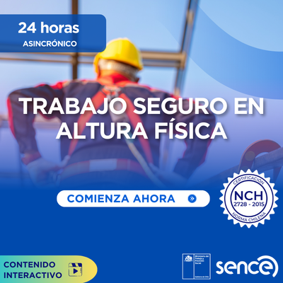 Curso Trabajo en altura física