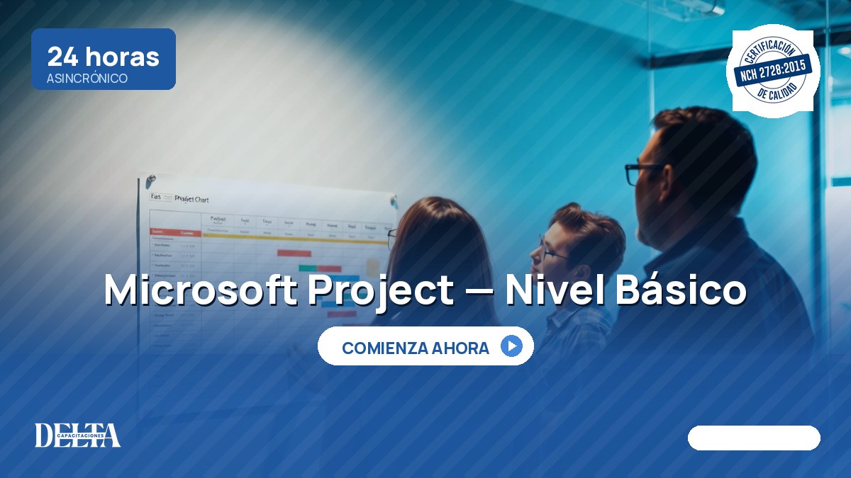 Microsoft Project — Nivel Básico